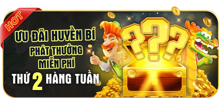 Tổng hợp khuyến mãi 5vin