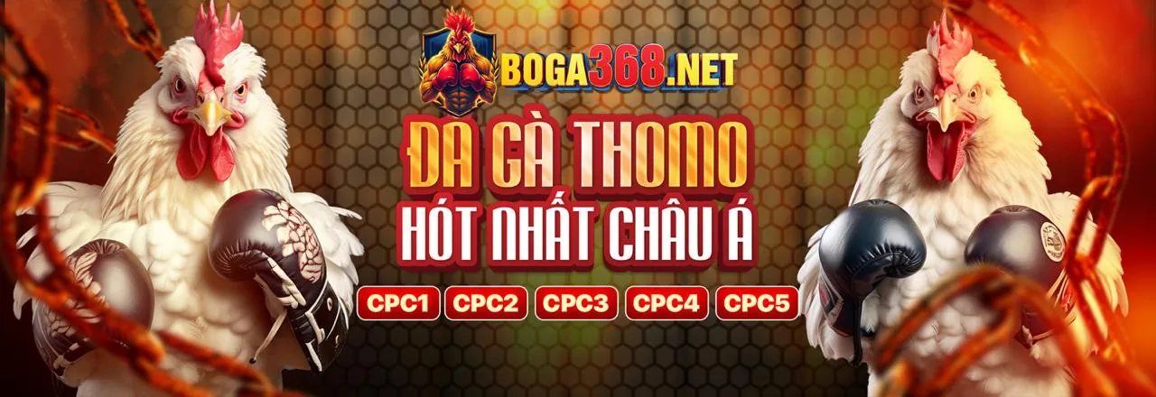 Hình ảnh banner tin tức 5vin đăng nhập